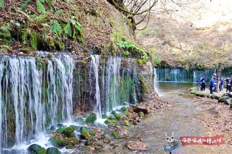 輕井澤 白絲瀑布|白絲瀑布 白雪皚皚白糸の滝，東京近郊旅遊輕井澤景點!